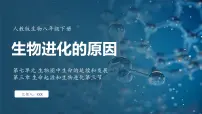 人教版（2024）八年级下册第七单元 生物圈中生命的延续和发展第三章 生命起源和生物进化第三节 生物进化的原因课堂教学ppt课件