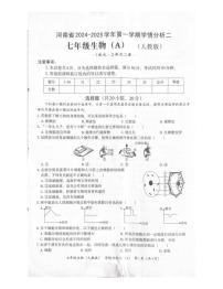 河南省商丘市夏邑县初中联考2024-2025学年七年级上学期12月月考生物试题