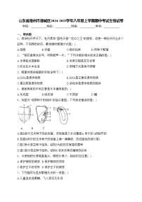 山东省德州市德城区2024-2025学年八年级上学期期中考试生物试卷(含答案)