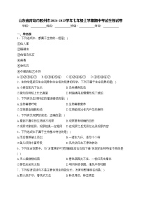 山东省青岛市胶州市2024-2025学年七年级上学期期中考试生物试卷(含答案)