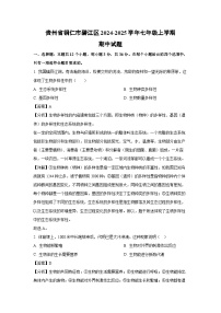 2024-2025学年贵州省铜仁市碧江区七年级(上)期中生物试卷(解析版)