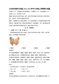 2024-2025学年山东省济南市长清区七年级(上)期中生物试卷(解析版)