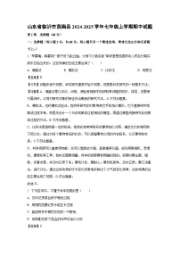 2024-2025学年山东省临沂市莒南县七年级(上)期中生物试卷(解析版)