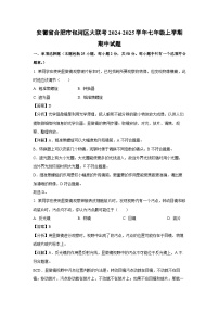 2024-2025学年安徽省合肥市包河区大联考七年级(上)期中生物试卷(解析版)