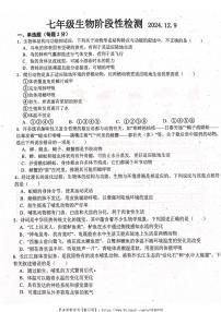 2024～2025学年山东省潍坊市高密市四校联考七年级(上)12月月考(阶段性检测)生物试卷(含答案)