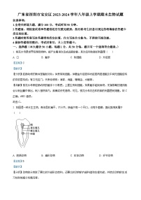 精品解析：广东省深圳市宝安区2023-2024学年八年级上学期期末生物试题（解析版）