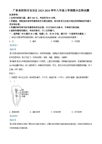 精品解析：广东省深圳市宝安区2023-2024学年八年级上学期期末生物试题（解析版）