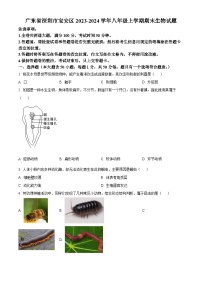 精品解析：广东省深圳市宝安区2023-2024学年八年级上学期期末生物试题（原卷版）