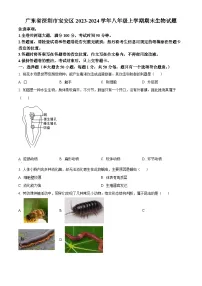 精品解析：广东省深圳市宝安区2023-2024学年八年级上学期期末生物试题（原卷版）