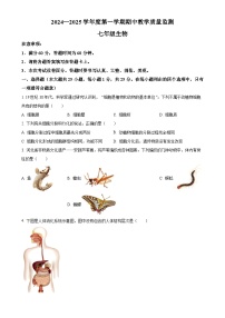 河北省保定市高碑店市2024-2025学年七年级上学期期中生物试题（原卷版）-A4
