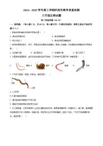 山东省临沂市莒南县2024-2025学年八年级上学期期中生物学试题（原卷版）-A4