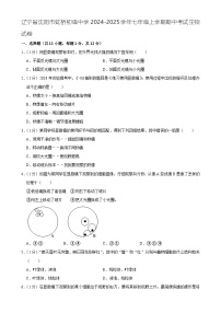 辽宁省沈阳市虹桥初级中学2024-2025学年七年级上学期期中考试生物试卷-A4