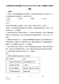 山东省青岛市青岛超银中学2024-2025学年七年级上学期期中生物学试题（解析版）-A4