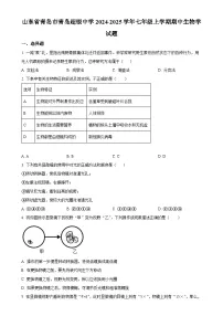 山东省青岛市青岛超银中学2024-2025学年七年级上学期期中生物学试题（原卷版）-A4