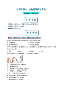 必刷考题06 生物的遗传与变异-2024-2025学年八年级生物上学期期末考点大串讲+练习（人教版）