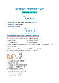 必刷考题06 生物的遗传与变异-2024-2025学年八年级生物上学期期末考点大串讲+练习（人教版）