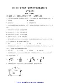 2024～2025学年江苏省南通市七年级(上)期中生物试卷(含解析)