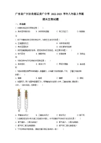 2022-2023学年广东省广州市花都区黄广中学初二年级上学期期末生物试题（含答案）