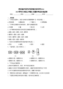 四川省泸州市泸州老窖天府中学2024-2025学年七年级上学期11月期中考试生物试卷(含答案)