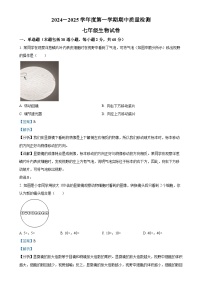 河北省保定市清苑区2024-2025学年七年级上学期期中生物学试题（解析版）-A4