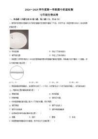 河北省保定市清苑区2024-2025学年七年级上学期期中生物学试题（原卷版）-A4