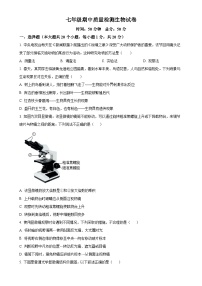 河南省漯河市实验中学2024-2025学年七年级上学期期中生物学试题（原卷版）-A4