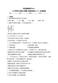 河北省廊坊市2024-2025学年八年级上学期11月阶段评估（二）生物试卷(含答案)