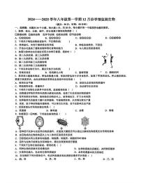 山西省大同市第三中学校2024-2025学年八年级上学期12月月考生物试卷