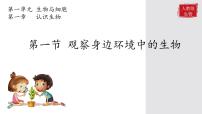 生物人教版（2024）第一节 观察周边环境中的生物课文ppt课件