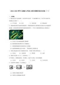 2024-2025学年人教版七年级上册生物期末综合训练（一）（含答案）