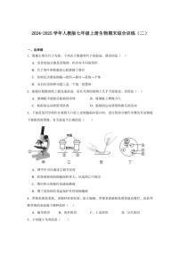 2024-2025学年人教版七年级上册生物期末综合训练（二）（含答案）