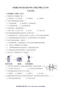 2024～2025学年四川省泸州市泸县第五中学八年级(上)12月月考生物试卷(含答案)