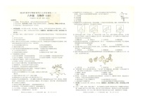 广西钦州市浦北县第三中学2024-2025学年八年级上学期12月月考生物试题