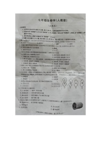 安徽省蚌埠市怀远县2024-2025学年七年级上学期第三次月考生物试题