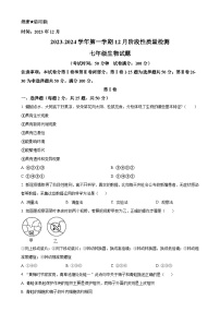 山东省枣庄市市中区2023-2024学年七年级上学期12月月考生物试题（原卷版）-A4