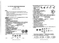 四川省宜宾市兴文县2024-2025学年七年级上学期期中考试生物试题