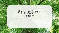 初中生物北师大版（2024）七年级上册（2024）第1节 光合作用教学演示ppt课件