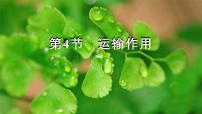北师大版（2024）七年级上册（2024）第3单元 植物的生活第4章 绿色开花植物的生活方式第4节 运输作用授课ppt课件