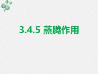 初中生物北师大版（2024）七年级上册（2024）第3单元 植物的生活第4章 绿色开花植物的生活方式第5节 蒸腾作用课文ppt课件