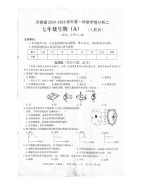 河南省商丘市夏邑县初中联考2024-2025学年七年级上学期12月月考生物试题