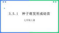 初中生物北师大版（2024）七年级上册（2024）第1节 种子萌发形成幼苗课文ppt课件