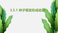 生物七年级上册（2024）第1节 种子萌发形成幼苗课文配套课件ppt