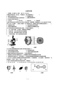 河南省信阳市息县培优适应性测试2024-2025学年七年级上学期12月月考生物试题