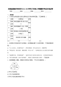 河南省南阳市邓州市2024-2025学年八年级上学期期中考试生物试卷(含答案)
