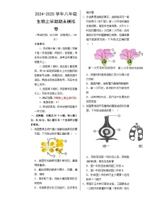 八年级生物期末模拟卷【测试范围：济南版上册全部内容】（考试版A3）-A4