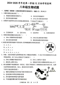 山东省济宁市金乡县2024-2025学年八年级上学期12月月考生物试题