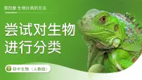 七年级上册（2024）第一节 尝试对生物进行分类教课内容ppt课件