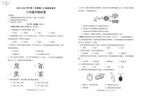 广东省茂名市高州市四校联考2024-2025学年七年级上学期12月月考生物试题