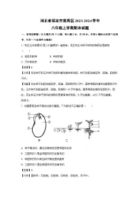 河北省保定市竞秀区2023-2024学年八年级上学期期末生物试卷（解析版）