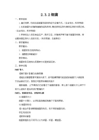 初中生物人教版（2024）七年级上册（2024）第二节 细菌教学设计